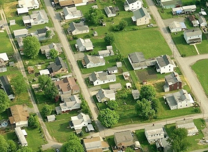 Virginia Creeper Removal detail